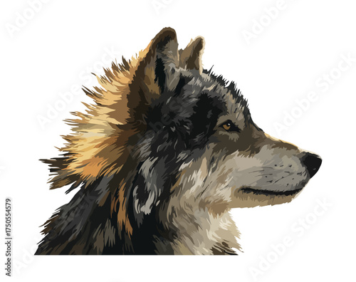 Profile portrait of a wolf illustration on black background