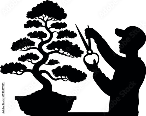 Silhouette of a person trimming a bonsai tree