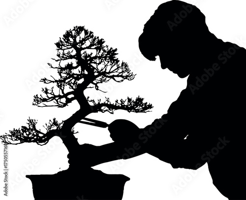 Silhouette of a person trimming a bonsai tree