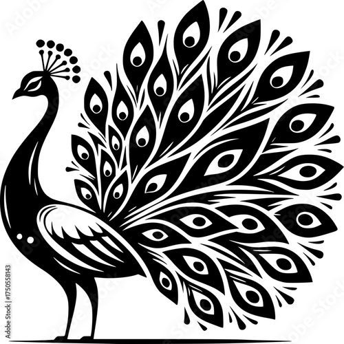 Majestic Peacock Silhouette: A striking silhouette of a peacock displaying its elaborate plumage, a symbol of beauty, pride, and grace.