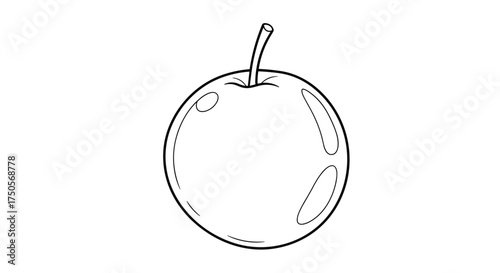 A simple outline drawing of a round fruit with a stem.