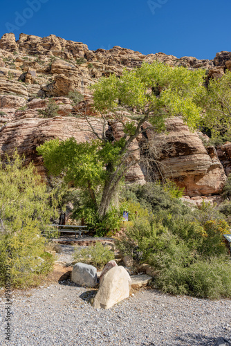 Photography The visit to the Red Rock Canyon in Las Vegas NV.
