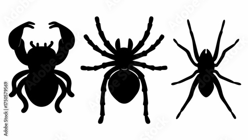 Spooky spider silhouettes for Halloween crafting and eerie designs, perfect for web decorations and horror themes