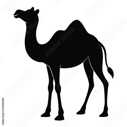 Simple black silhouette of a dromedary camel standing in profile view
