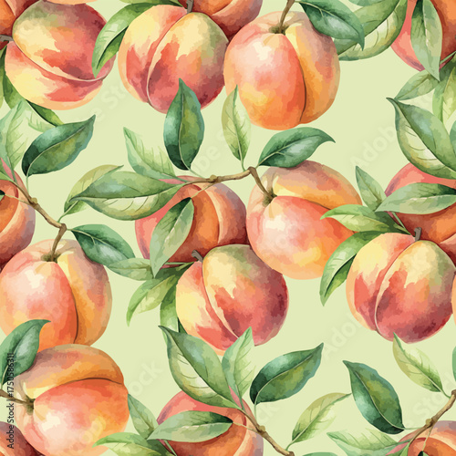 Delicious Peaches Fruits Botanical Watercolor Vector Seamless Pattern