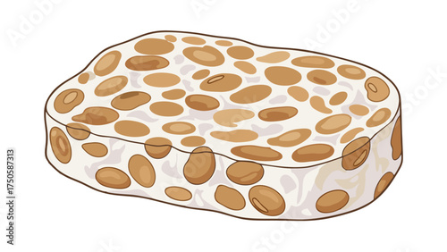 Fresh raw tempeh block, a fermented soybean cake, showing visible beans and a distinct mycelium texture.