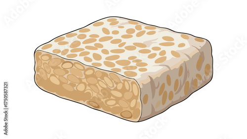 A detailed illustration of a fresh, rectangular block of tempeh, a fermented soybean cake with visible beans.