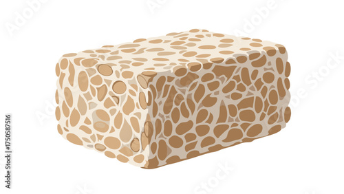 Rectangular Block of Fermented Soybeans, Tempeh, with Visible Bean Texture.