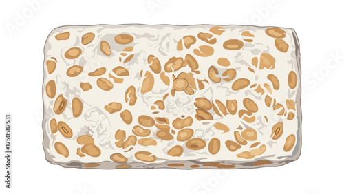 Rectangular Block of Fermented Soybeans, Tempeh, with Visible Bean Texture.