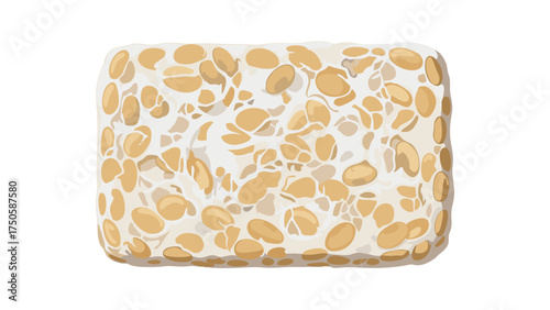 Rectangular Block of Fermented Soybeans, Tempeh, with Visible Bean Texture.