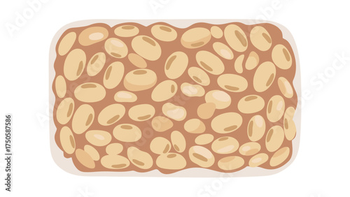 Rectangular Tempeh Block - Fermented Soybeans with Visible Bean Texture.
