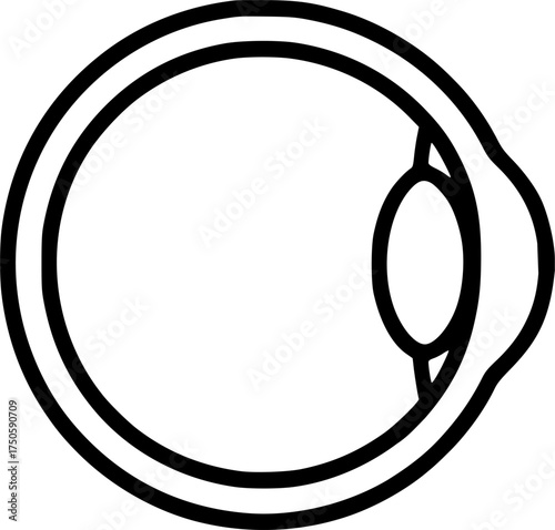 Eyeball, pupil, cornea anatomy scheme sign, symbol, vector, art
