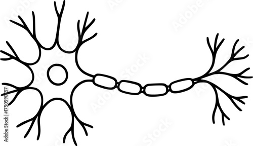 Neuron, nerve flat line vector icon for mobile application sign, symbol, vector, art