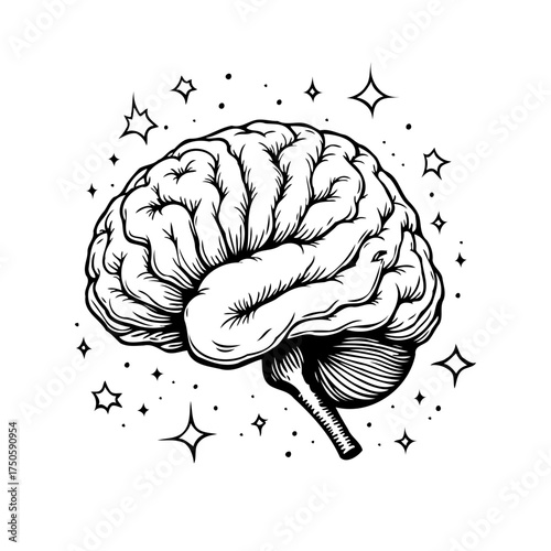 A detailed anatomical brain illustration showcasing creativity intelligence and cognitive function