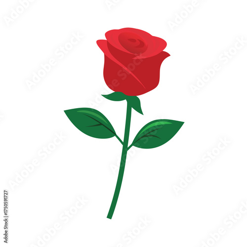 A single vibrant red rose with lush green leaves displayed beautifully