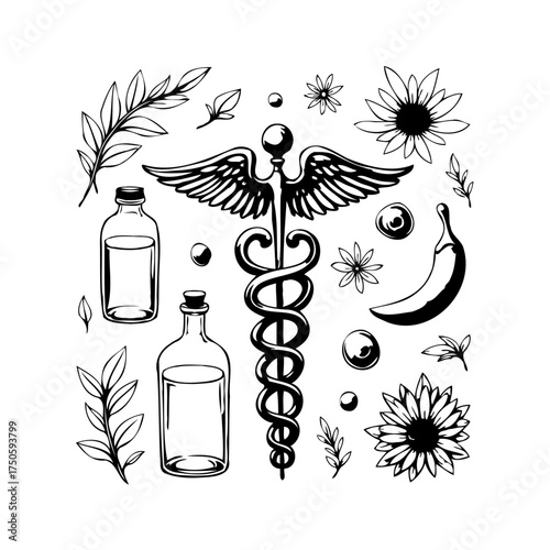 Caduceus medicinal botanical illustration featuring vials foliage chili sunflowers an ornate