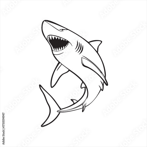 Angry Shark Illustration – Bold Black and White Ocean Predator Art