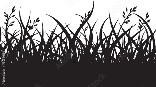 Black silhouette of dense grass blades and stalks white
