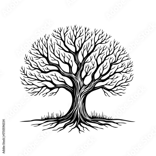 Detailed black and white tree vector illustration, symbolizing growth, connection, and natural