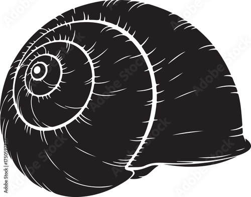 Detailed black and white sketch of a spiral snail shell with textured lines, Generative Ai
