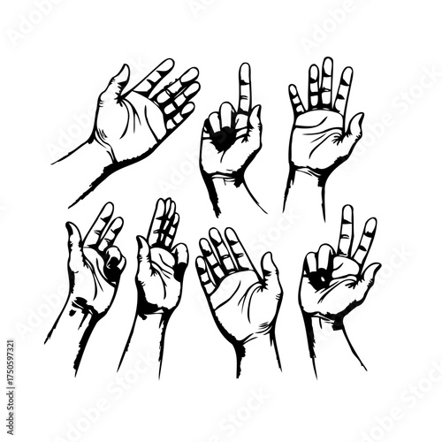 Diverse hand gestures presented in a minimalist black and white drawing on a white background art