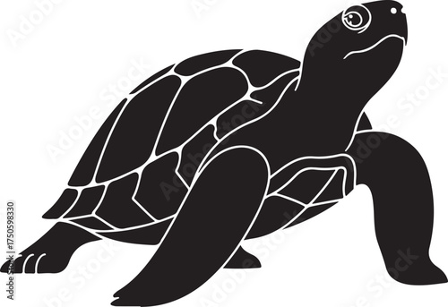 Silhouette of a sea turtle with detailed shell pattern on a white background, Generative Ai
