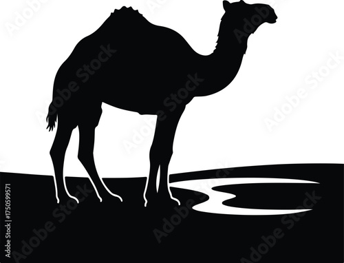 Vector silhouette of a camel standing on desert land illustration
