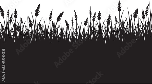 Black silhouette of tall grass and reeds against white background