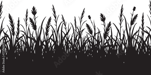 Black silhouette of tall grass and reeds against white background