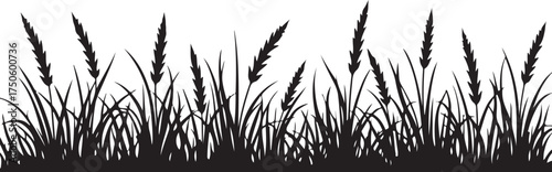 Black silhouette of tall grass and reeds black and white