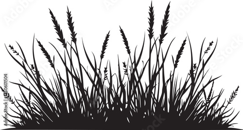 Black silhouette of tall grass and seed heads black and white