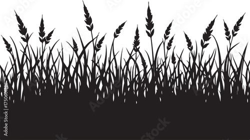 Black silhouette of tall grass and seed heads black and white
