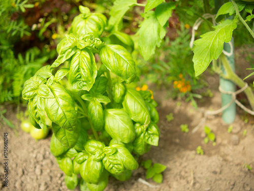 Photography moscow russia