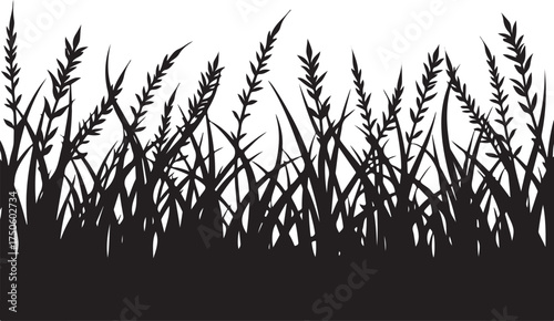 Black silhouette of tall grass and wheat stalks black and white