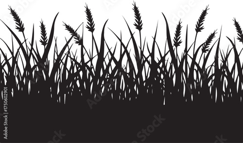 Black silhouette of tall grass and wheat stalks black and white