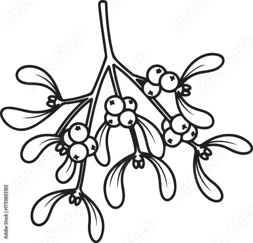 Elegant hand drawn illustration of a mistletoe sprig with berries for holiday decorations, Generative Ai
