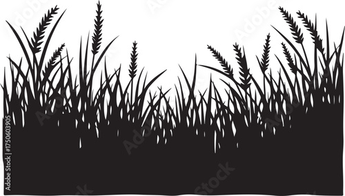 Black silhouette of tall grass and wheat stalks vector 7