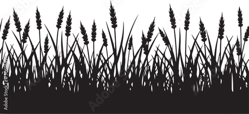 Black silhouette of wheat stalks and grass field agriculture