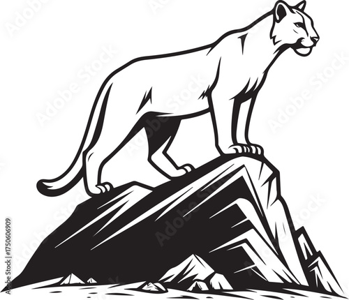 Wild Cougar Mountain Lion Standing on Rock Black and White Vector Illustration for Wildlife and Nature Design
