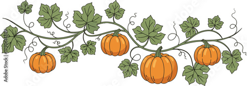 Decorative horizontal vector vine border featuring vibrant orange pumpkins and green leaves.