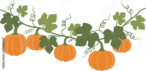 Decorative horizontal vector vine border featuring vibrant orange pumpkins and green leaves.