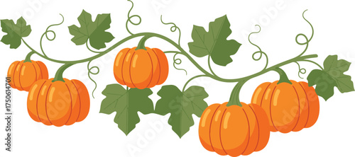 Decorative horizontal vector vine border featuring vibrant orange pumpkins and green leaves.