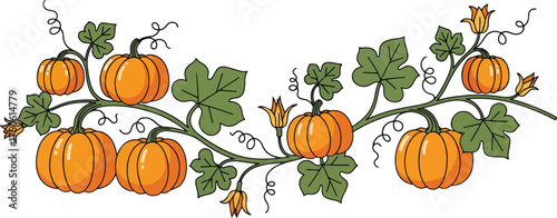 Decorative horizontal vector vine border featuring vibrant orange pumpkins and green leaves.