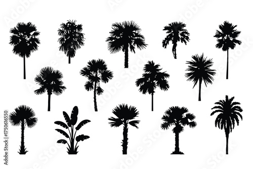 Black and White Exotic Tree Icons, Collection of Tropical Palm and Banana Tree Silhouettes, silhouette, vector, illustration.