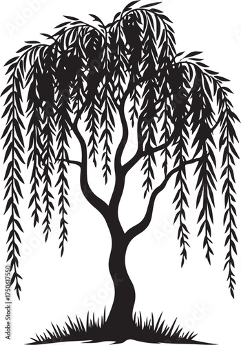 Black silhouette of a weeping willow tree with drooping branches and leaves
