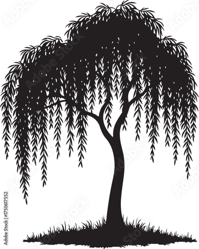 Black silhouette of a weeping willow tree with drooping branches