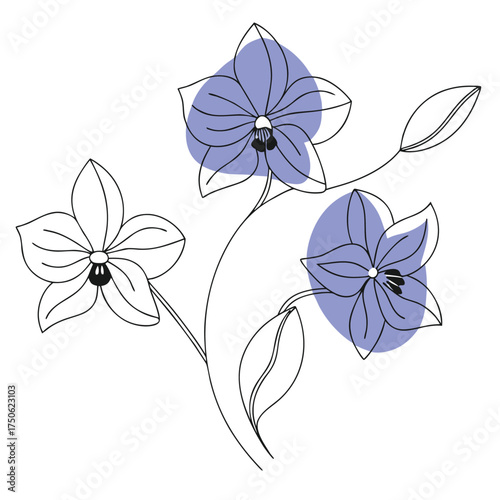 Elegant single line drawing of three blooming orchid flowers