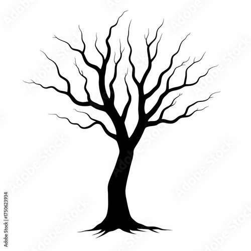Illustration of a Bare Tree Silhouette with Freeform Branches Extending into Various Directions against a White Background, Symbolizing Simplicity and Natural Elegance