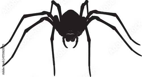 Spider silhouette illustration isolated on white background creepy element Halloween