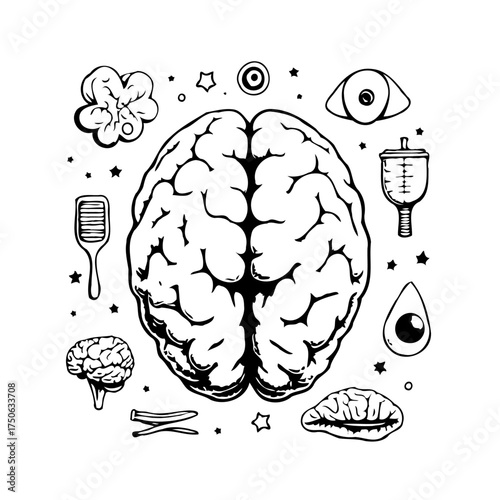 Exploring the human mind a graphic representation of cognition thought processes and mental